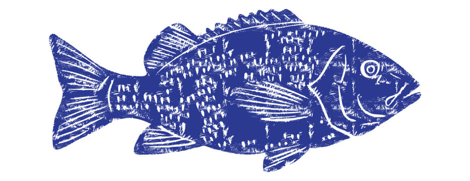 Indigo blue linocut fish vector illustration. Decorative sea bass or perch engraving with crosshatch scales texture. Vintage woodcut marine animal icon for seafood menu and rustic kitchen design