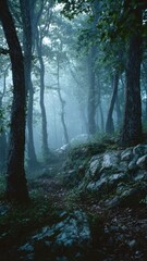 Fototapeta premium Misty Forest Path with Ancient Trees and Ethereal Fog