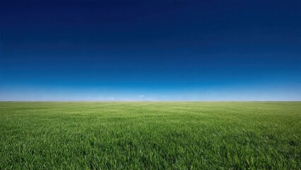 Obraz premium Panoramic View of Lush Green Grass Field and Blue Sky