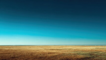 Vast Golden Grassland Under a Clear Blue Sky Horizon