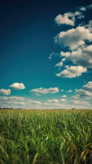 Obraz premium Vibrant Green Grass Field Under Blue Sky with White Clouds