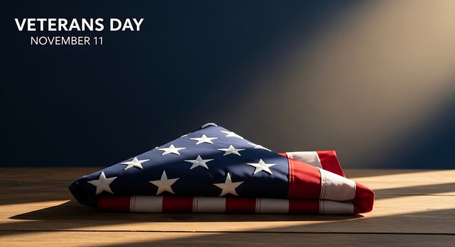 Veterans Day Folded Flag Tribute Banner