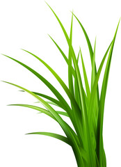 Obraz premium Realistic green grass. Bushes of fresh greens. Spring meadow. Summer lawn. Glade with plants. Nature landscape vector illustration.