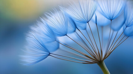 Obraz premium Blue abstract dandelion flower background, extreme close-up with soft focus, beautiful nature detail and botanical wallpaper concept, with copy space
