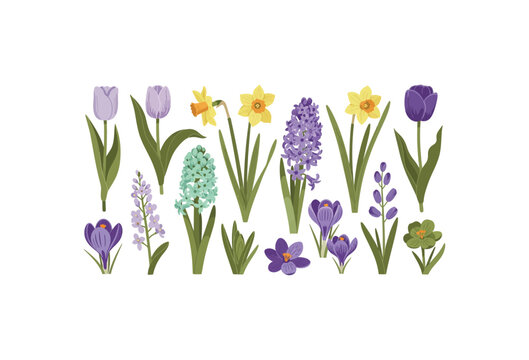 A beautiful and diverse vector illustration set showcasing a collection of colorful spring flowers including vibrant tulips, cheerful daffodils, delicate hyacinths, and charming crocuses
