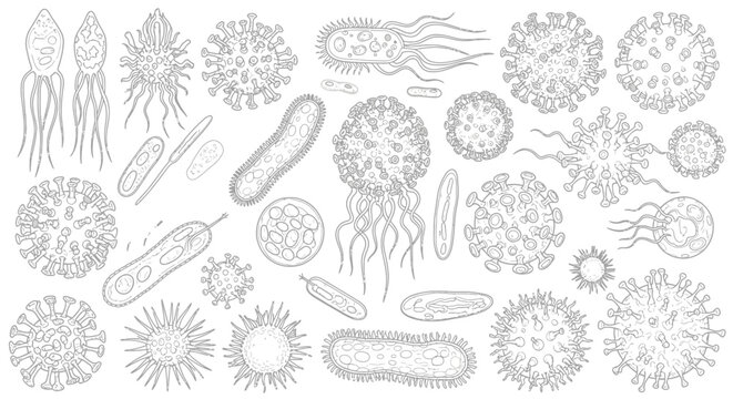 Diverse Microorganisms and Bacteria: Illustrations of Microbes.