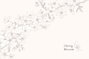 Obraz premium Delicate cherry blossom branches with a minimalist sketched aesthetic