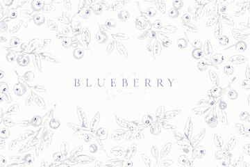 Obraz premium Delicate blueberry botanical illustration with sprigs and small purple fruits