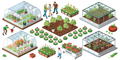 Isometric illustration depicting organic farming with greenhouses and garden elements