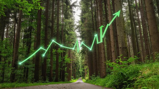 Sustainable business growth concept with rising financial bar chart on green moss in forest representing green economy and environmental investment