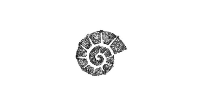 Sketch fossil icon animation - smooth progressive reveal