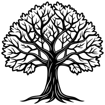 An elegant black vector silhouette of a nature tree with roots and branches featuring a seasonal leaf design for a forest plant illustration symbol of growth