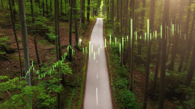 Financial growth chart on a forest path representing sustainable investment strategy green business road and ecological success concept