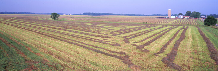 63801-049.04 Raked hay field  Marion Co   IL © Daybreak Imagery