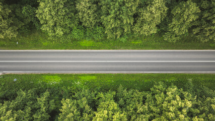 Aerial view of a straight asphalt road cutting through lush green forest on a sunny day © Pavel Babic