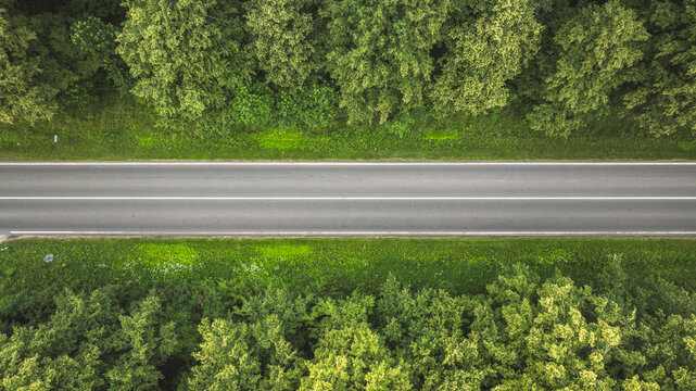 Aerial view of a straight asphalt road cutting through lush green forest on a sunny day