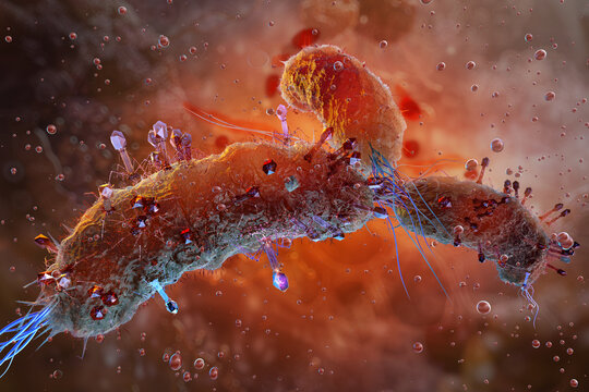 Bacteriophage infecting bacterial cell with multiple phages attached to cell wall during viral adsorption stage, microbiology 3D. Phage therapy, antimicrobial resistance, microbiome molecular genetics