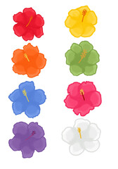 Naklejka premium set of colorful flowers