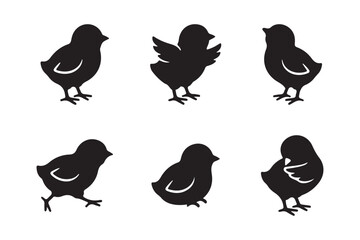 Fototapeta premium Set of baby chick silhouette vector icons in different poses isolated on light background. 