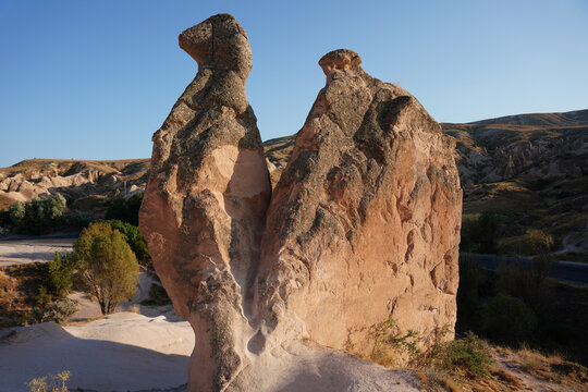 Camel Shaped Rock Formation in Devrent Valley, Cappadocia, Nevsehir, Turkiye