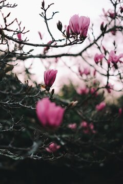 Processed with VSCO with q5 preset