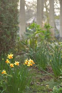 Daffodils blooming by the pond with classical columns in Parc Monceau, Paris, France, early March 2026