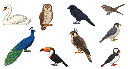 Fototapeta premium Set of diverse bird species illustrations featuring a white swan, brown owl, black crow, colorful peacock, toucan, falcon, hawk, and puffin isolated on a plain white background.