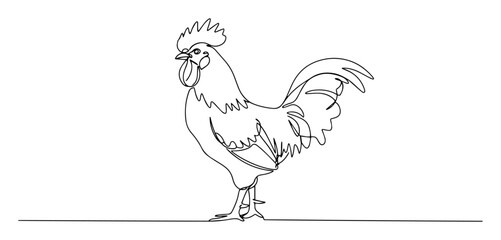 rooster line drawing in profile view © Wieslaw