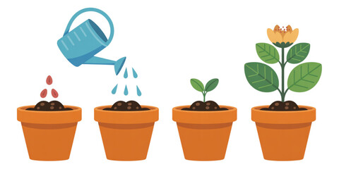 Fototapeta premium A vector graphic illustration of a plant growth process from seed to flower in a pot on transparent background