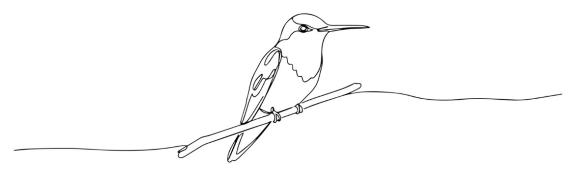 kingfisher bird on branch line art