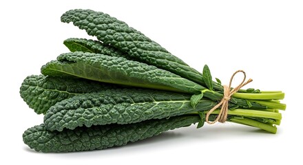 Obraz premium Fresh bunch of dark green lacinato kale also known as dinosaur kale tied with natural twine on a clean white studio background showcasing its textured bumpy leaves and healthy