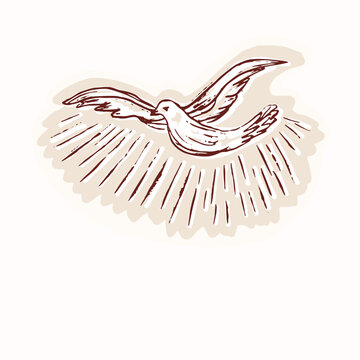 With blessings first baptism card with holy spirit dove motif. Hand drawn vector icon isoalted flat on plain editable background. Christian bible stydy sticker, pentecost, baptise religious greeting