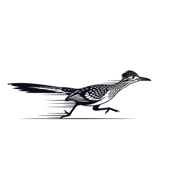 Running roadrunner bird illustration with speed lines on a white background.