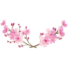 Fototapeta premium Pink cherry blossom floral frame.