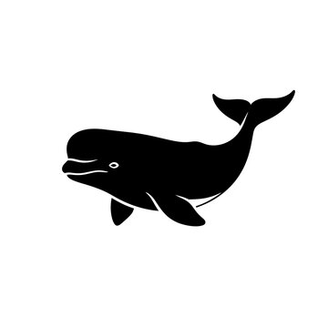 Black and white illustration of a beluga whale swimming gracefully in the ocean.