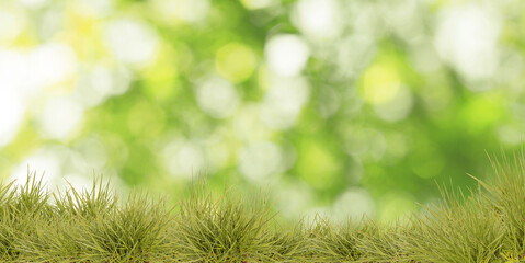Naklejka premium Vibrant grass against blurred green background. Banner design