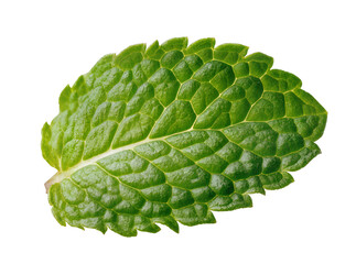 Vibrant fresh green mint leaf, showcasing intricate texture and natural veins, isolated PNG on transparent background for culinary and herbal designs © Aoife