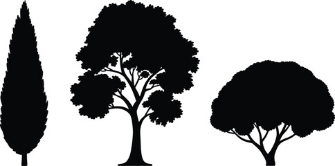 Set of three distinct tree silhouettes vector graphic with varying shapes and sizes © MOSTLAKI