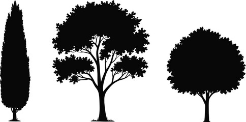 Variety of three tree silhouettes vector illustration showing different forms and heights © MOSTLAKI