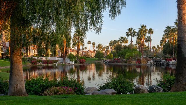 Blooming flowers, lush landscaping and palm trees ring a man made lagoon in an upscale housing community in Palm Desert California.