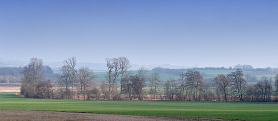 Naklejka premium Landscape, sky and field with woods on horizon, hill and banner with season change in ecosystem. Outdoor, environment and location in forest with sustainability, autumn and space in countryside