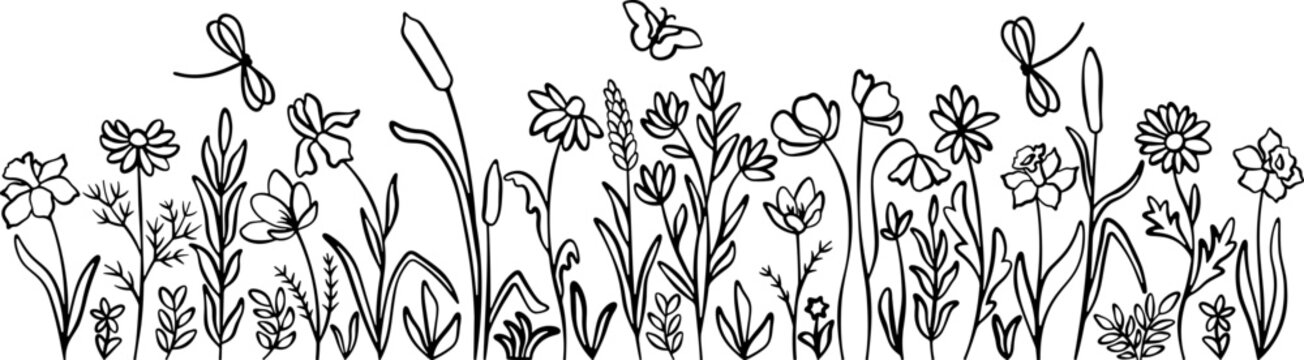 Meadow flowers
