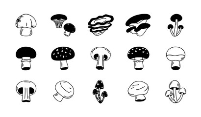 Edible mushroom outline icon set with botanical fungi varieties for food and nature design © Rimu