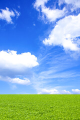 Naklejka premium 緑の草原と青空