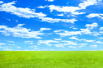 Fototapeta premium 緑の草原と青空