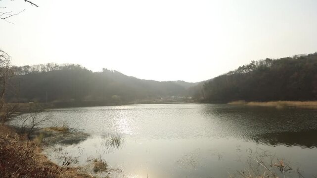 강풍경카메라이동(강+산+빛+흐르는물+나무)