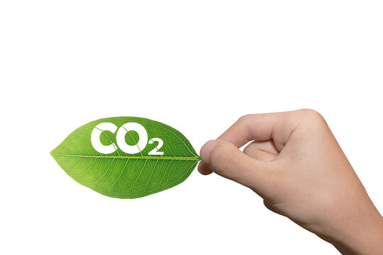 green leaf, co2 symbol isolated on White Background. Reduce CO2 emission concept.Clean and friendly environment without carbon dioxide emissions.