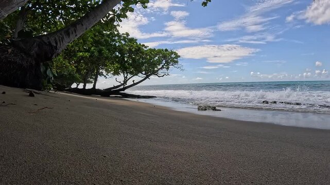 Relaxing Tropical Beach with Shade Trees and Ocean Waves &ndash; Calm Coastal Scene
