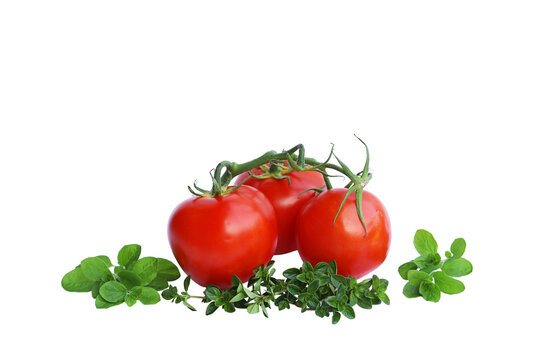Frische Tomaten, Basilikum und Majoran. Rote Tomaten und gr&uuml;ne Kr&auml;uter, freigestellt in png