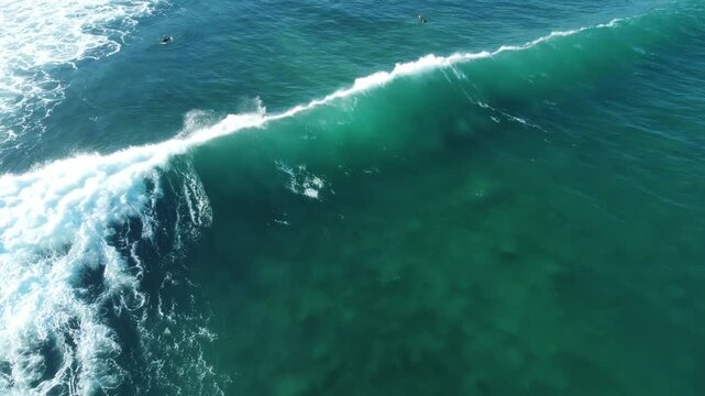 Aerial view following from behind a surfer catching a long wave breaking among other surfers riding through the foam
